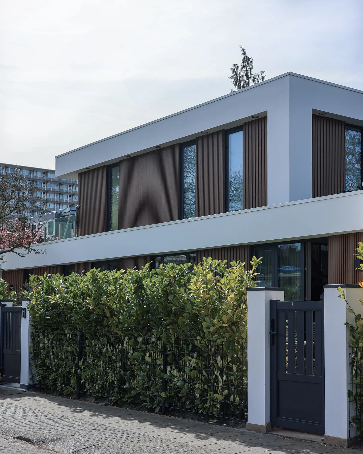 Overzicht van de woning en de toegang in de erfafscheiding